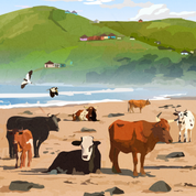 Transkei