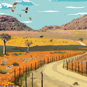 Namaqualand