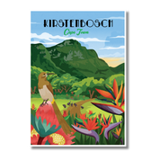 Kirstenbosch