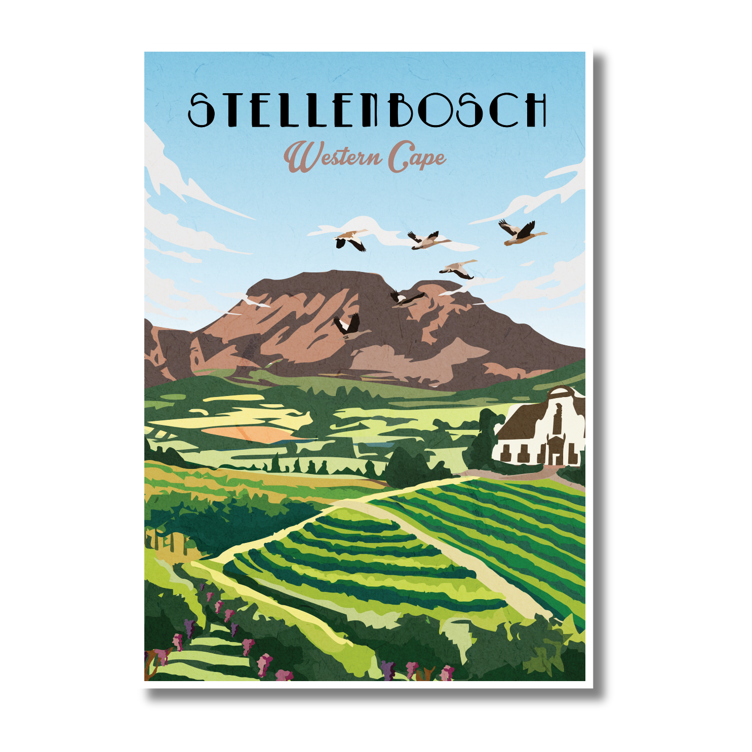 Stellenbosch