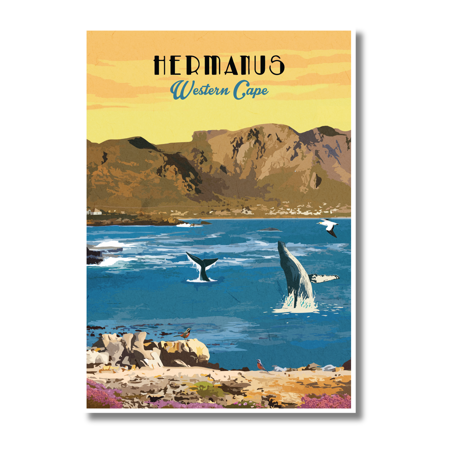 A travel-style poster showing a coastal landscape with mountains, blue water, whales, birds, and the text 'HERMANUS Western Cape' at the top