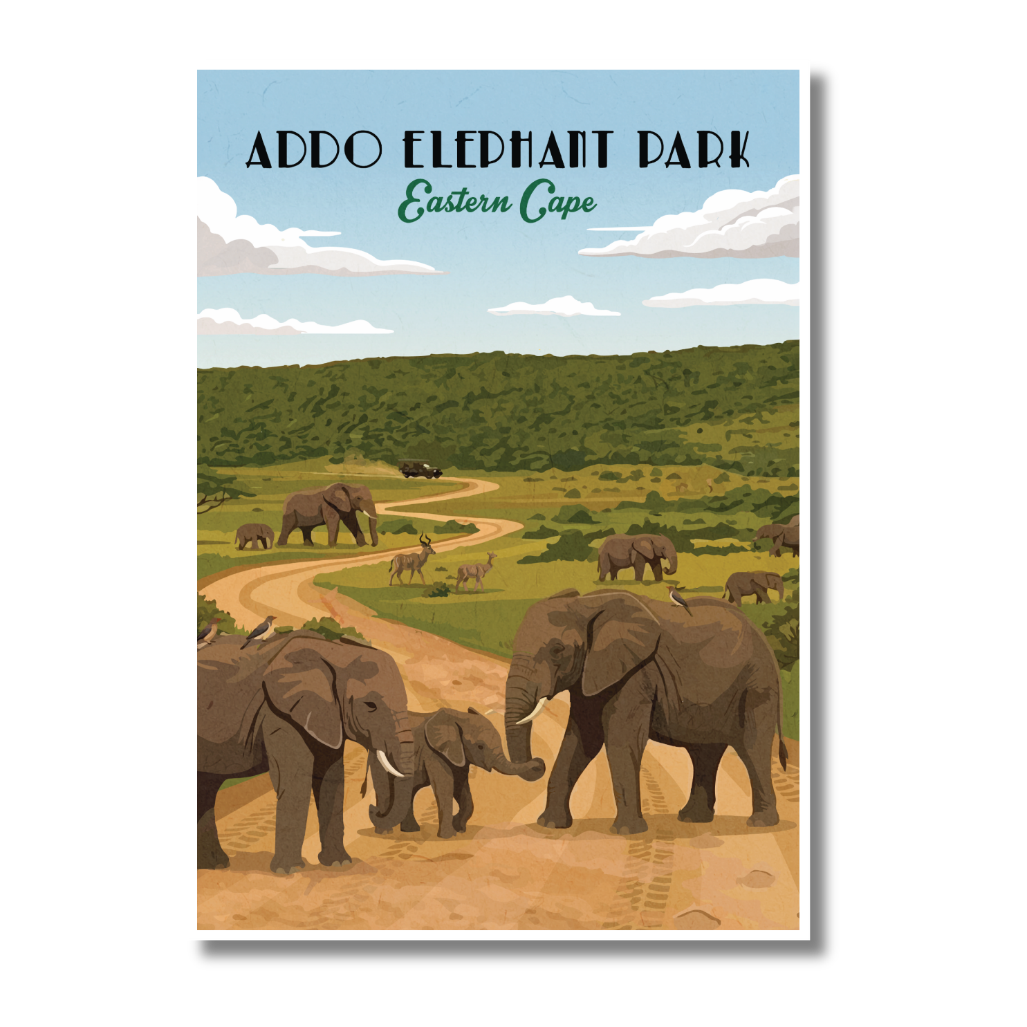 Addo Elephant Park