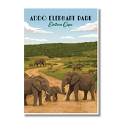 Addo Elephant Park