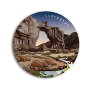 Cederberg Coaster