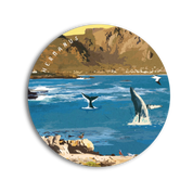 Hermanus Coaster