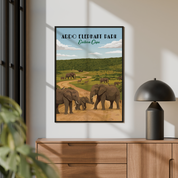 Addo Elephant Park