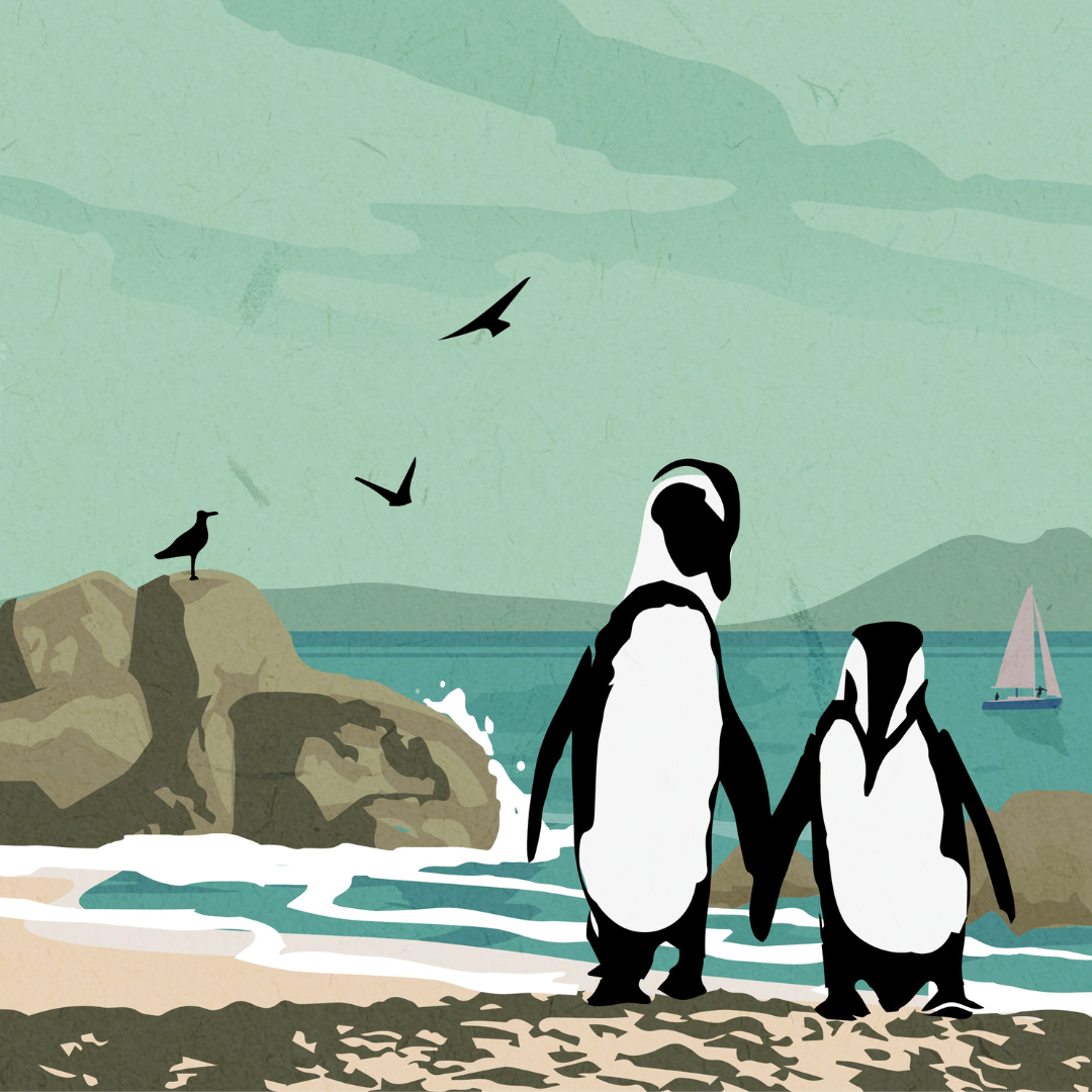 Boulders Beach Simons Town Vintage Illustrated Poster Wall Art Home Decor
