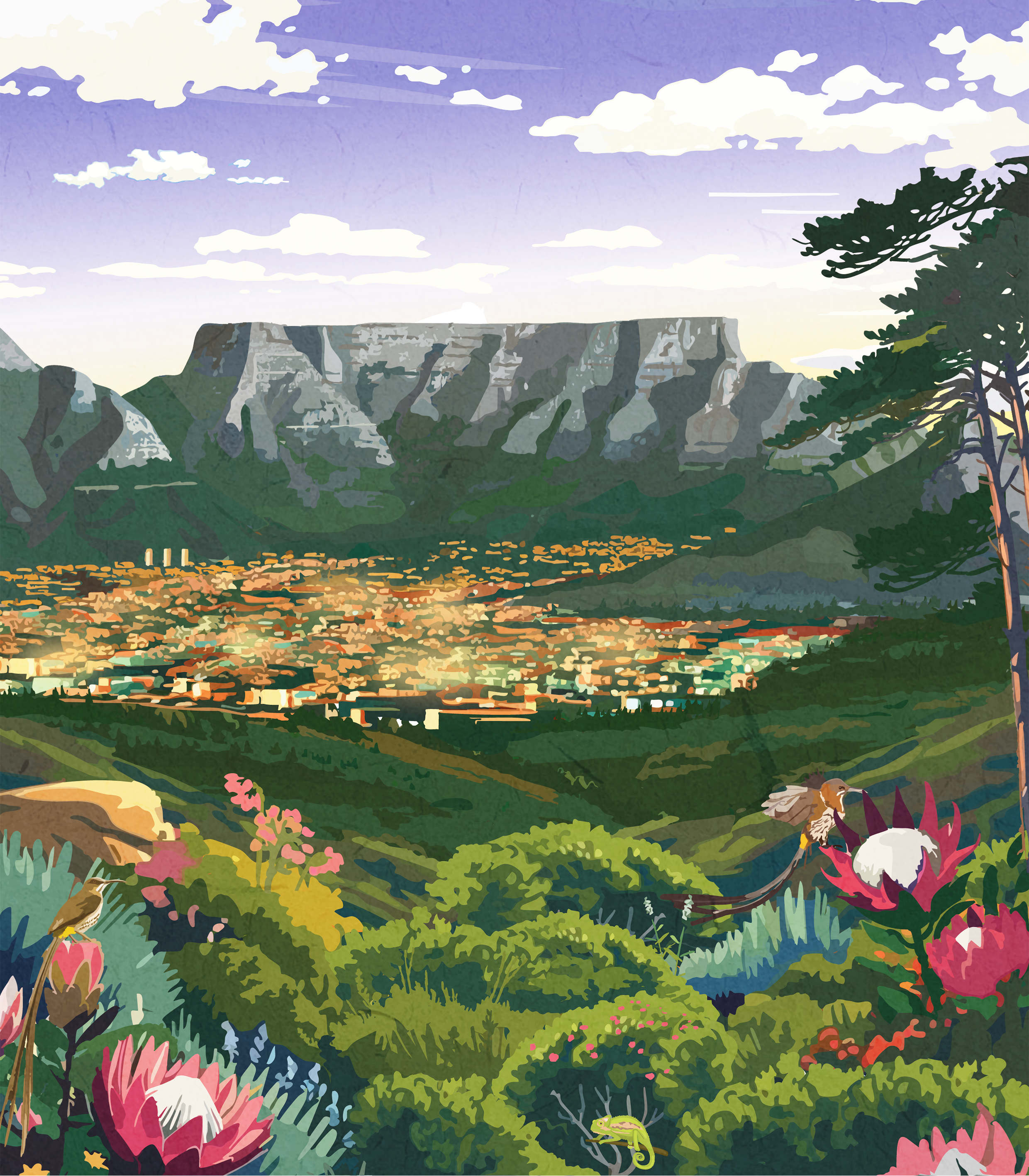 CAPE_TOWN_BANNER_PHONE.png