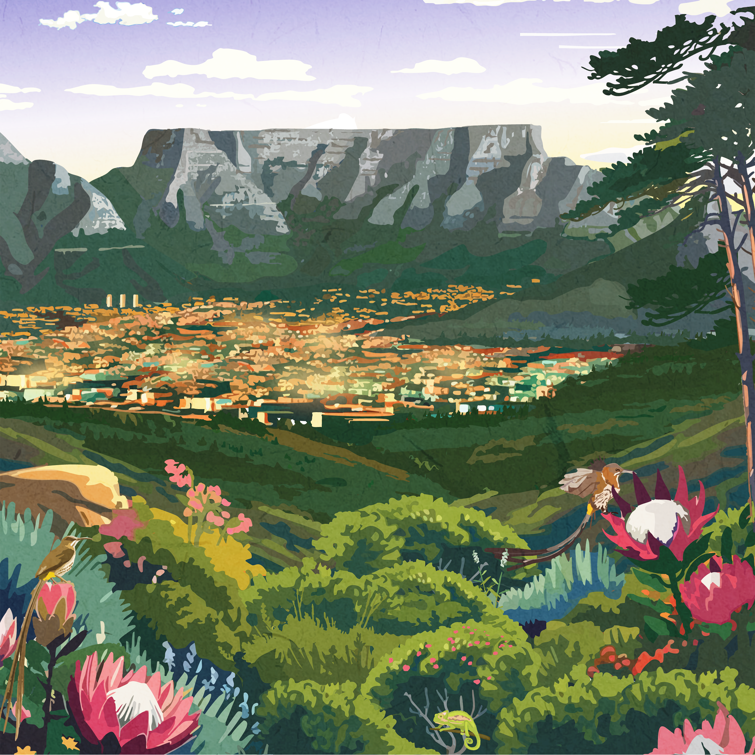 CAPE_TOWN_LIGHTENED_sq.png