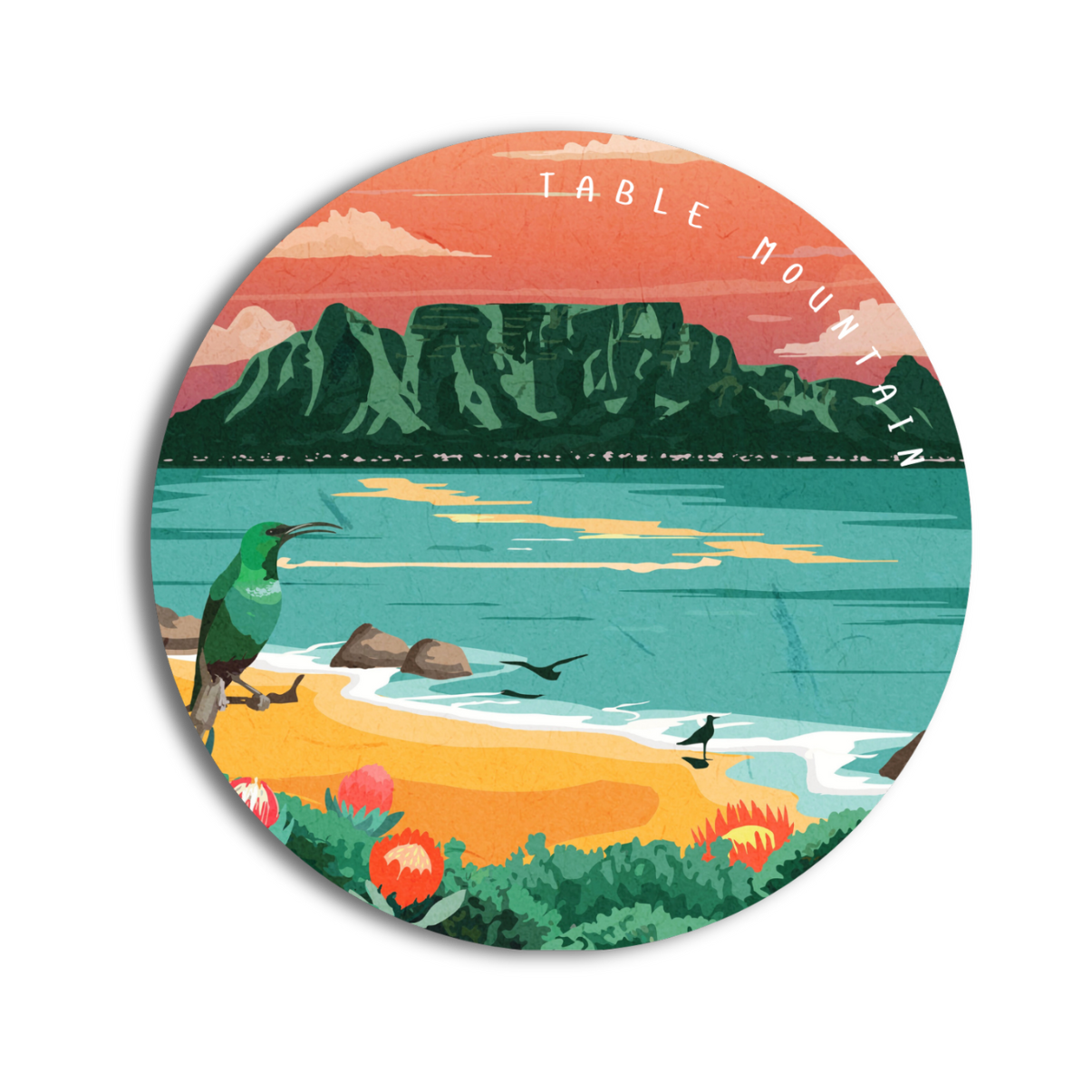 Coaster_web_mockups_23.png