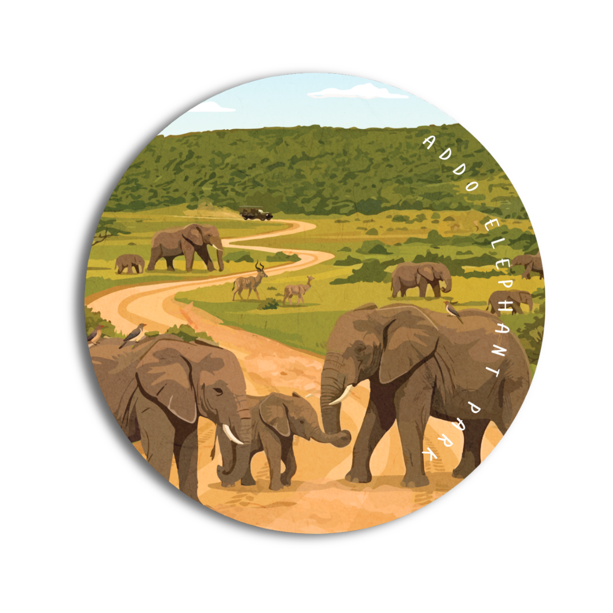 Addo Elephant Park Coaster