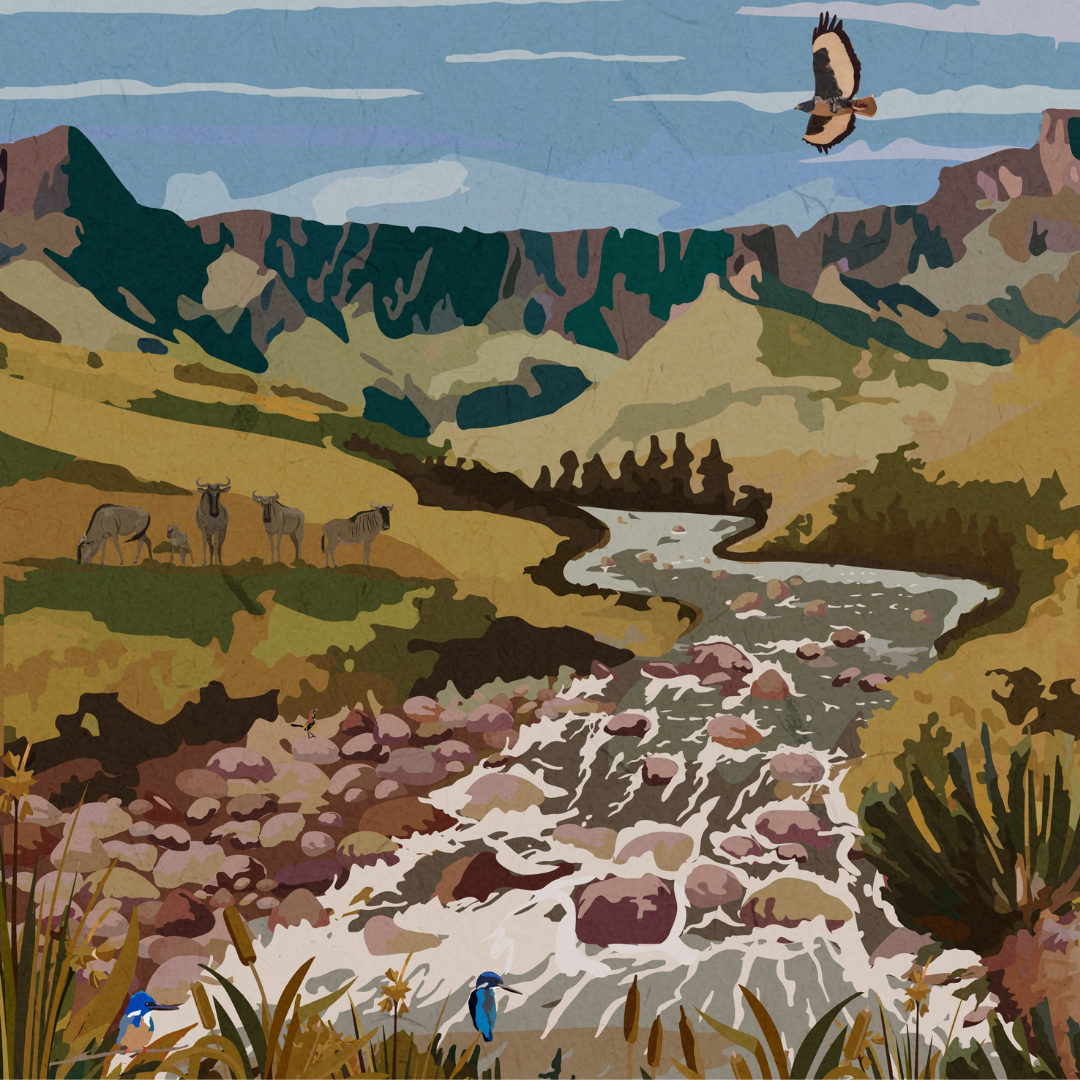 Illustrated Drakensberg poster artwork featuring the Amphitheatre in autumn – South African mountain landscape wall art, perfect for nature-inspired home decor, travel art collectors, hikers, and outdoor adventure lovers.