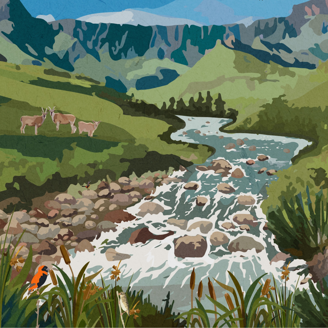 Illustrated Drakensberg summer poster artwork showcasing lush green mountains and dramatic cliffs – South African landscape wall art perfect for home decor, travel enthusiasts, hikers, and mountain adventure lovers.