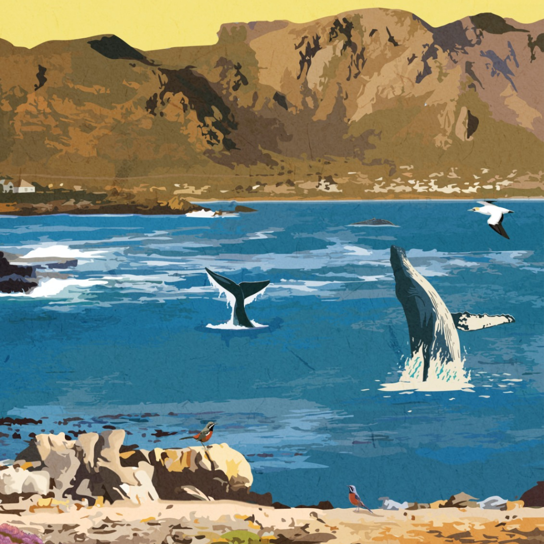 Hermanus art print – illustrated South African coastal poster, perfect for wall art, home decor, and travel-inspired artwork.