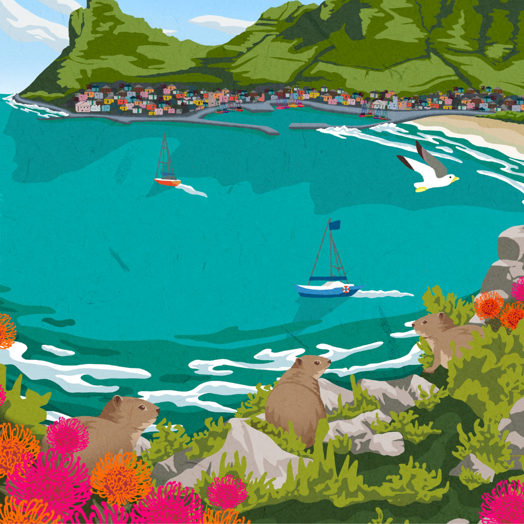 Hout Bay art print – illustrated South African coastal travel poster print featuring mountains and harbour, ideal for wall art and home decor.