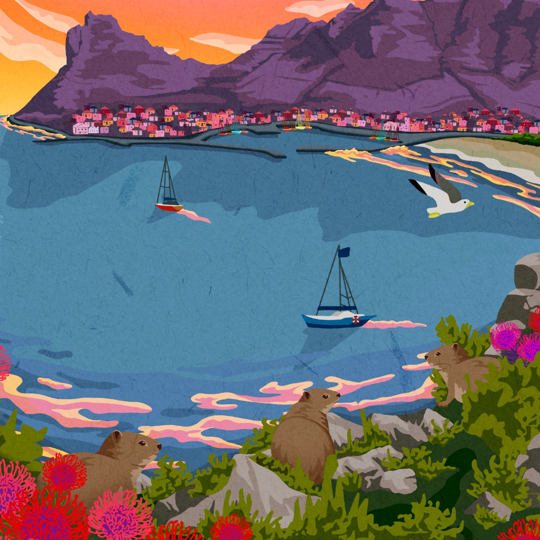 Hout Bay sunset art print – illustrated coastal wall art featuring vibrant sunset over mountains and harbour, perfect for home decor and wall art decor.