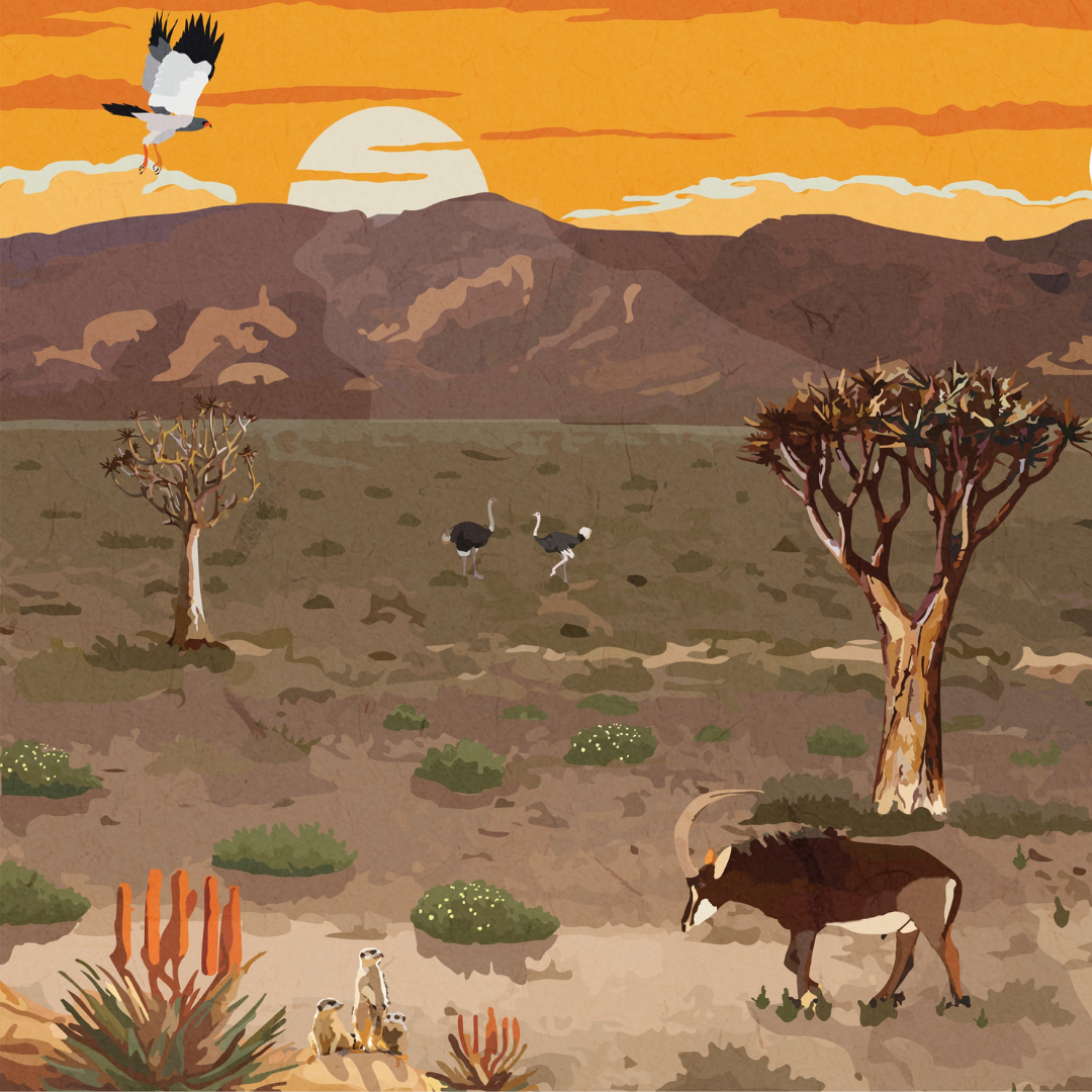Karoo art print – illustrated South African landscape poster with semi-desert scenery, perfect wall art for rustic home decor and travel lovers.