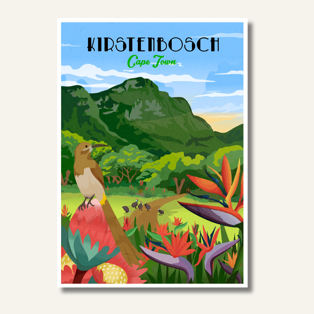 Kirstenbosch art print – illustrated botanical garden poster with mountain views and lush plants, ideal wall art for nature lovers and home decor.