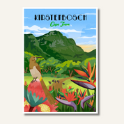 Kirstenbosch art print – illustrated botanical garden poster with mountain views and lush plants, ideal wall art for nature lovers and home decor.