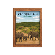 Addo Elephant Park