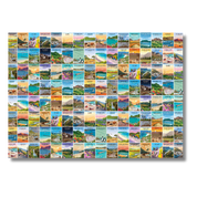 Roam Wrapping Paper