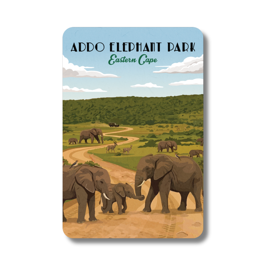 Addo Elephant Park Magnet