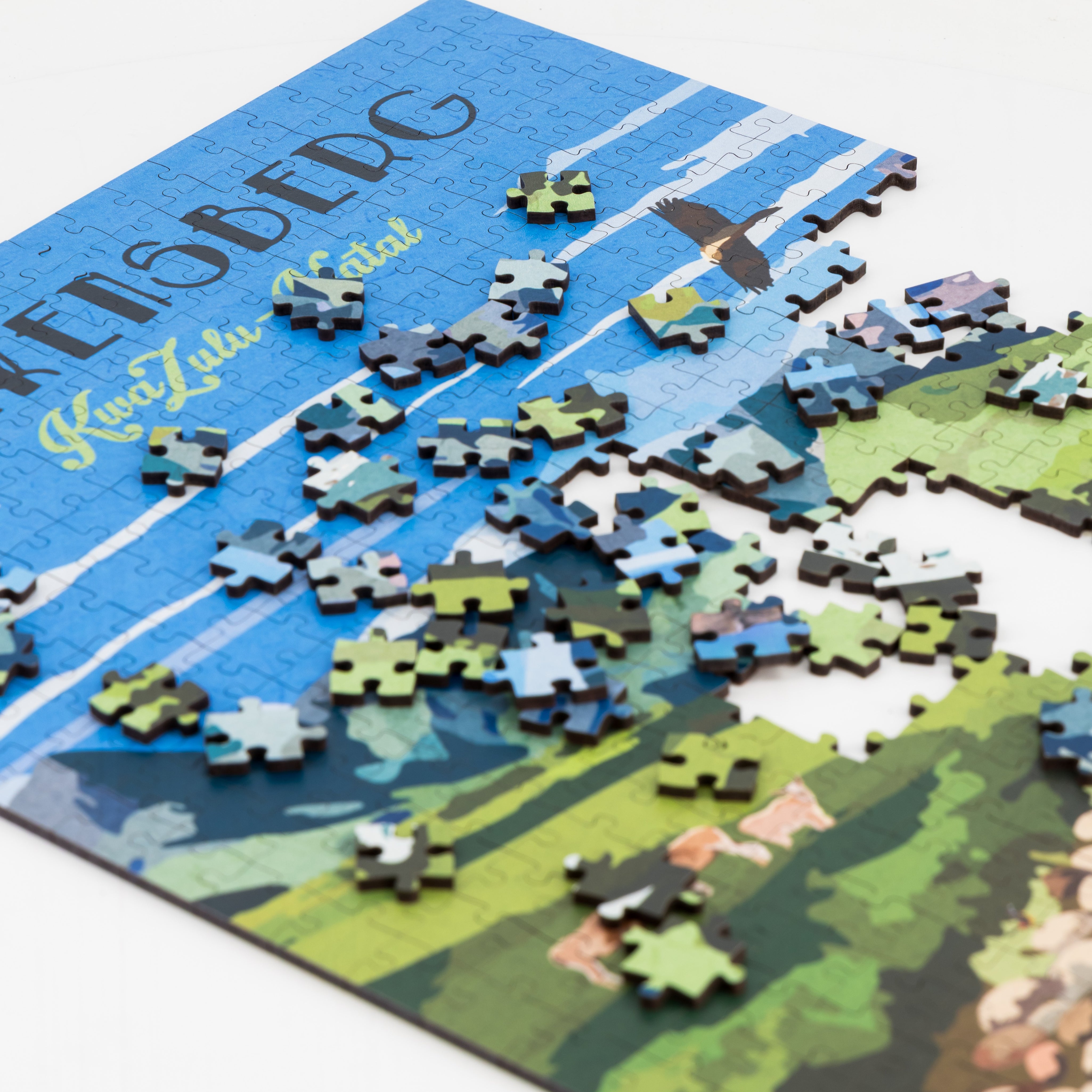 Jigsaw puzzle with a partially completed design 