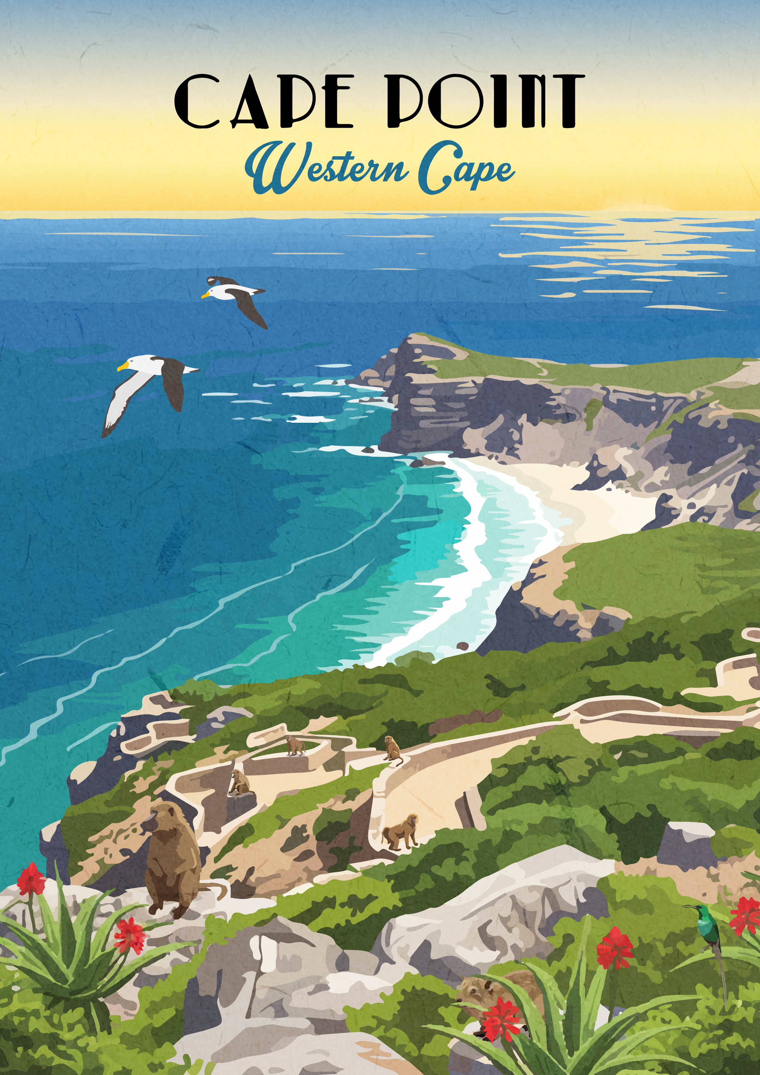 ROAM-CAPE_POINT.png