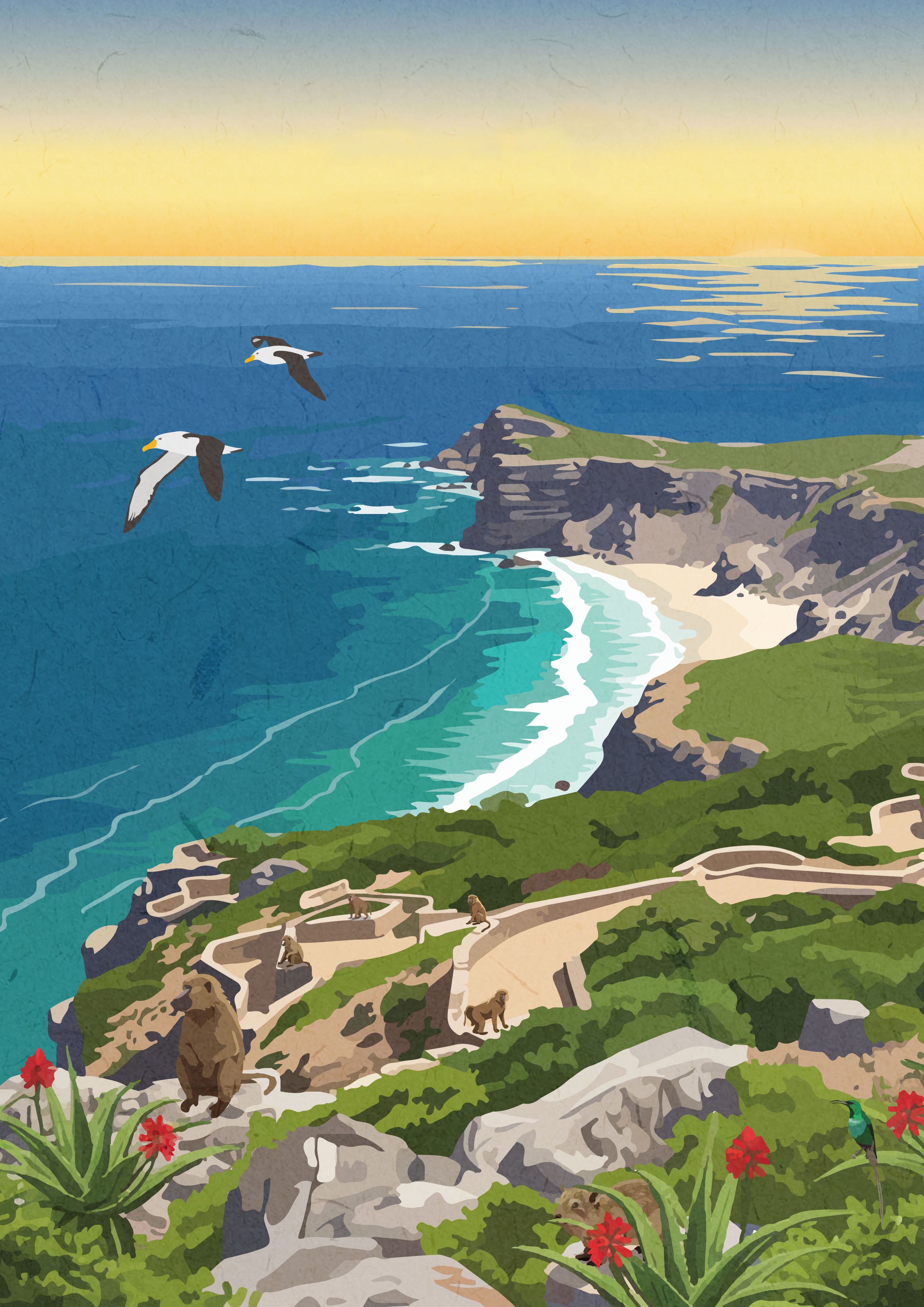 ROAM-CAPE_POINT_18_light.png