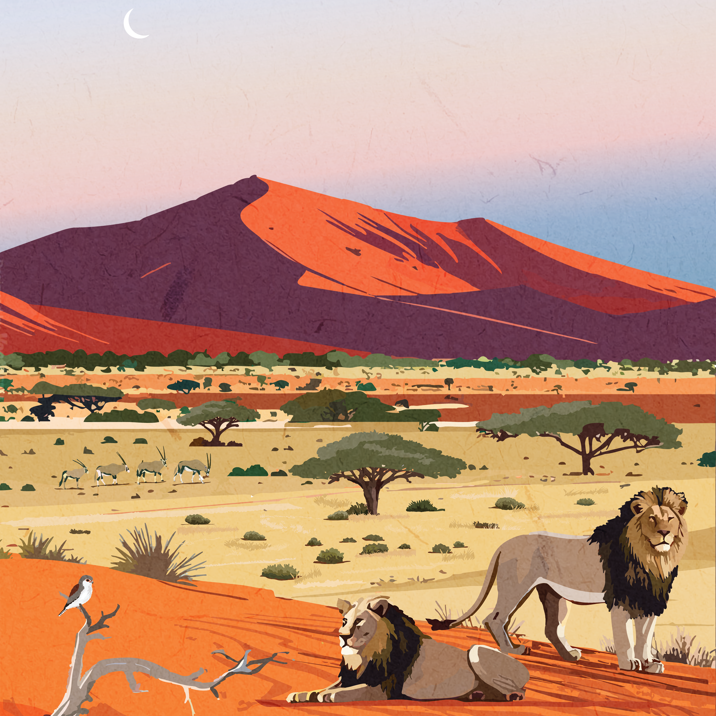ROAM-_KGALAGADI_FINAL-01c.png