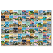 Beautiful Roam gift wrapping paper with images of South African artwork, perfect for all occasions including Christmas and birthdays