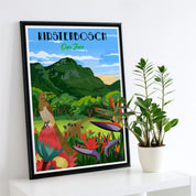 Framed Kirstenbosch botanical garden art poster 