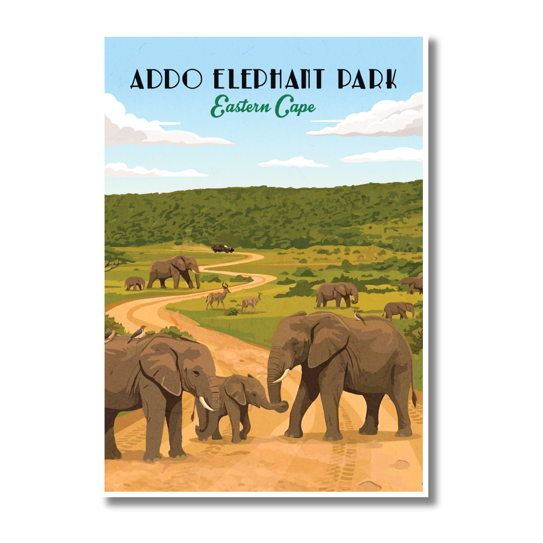 An art print poster of Addo Elephant Park in the Eastern Cape, featuring a vintage-style illustration of elephants on a dirt road with green hills and a blue sky.