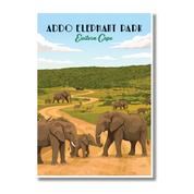 An art print poster of Addo Elephant Park in the Eastern Cape, featuring a vintage-style illustration of elephants on a dirt road with green hills and a blue sky.