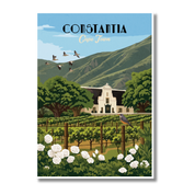Constantia