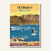 Hermanus