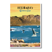 Hermanus